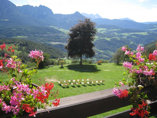 Photo of the balcony Naturhotel Wieserhof