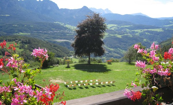 View from the business
