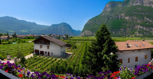Lage Hotel Kurtinigerhof Kurtinig an der Weinstraße