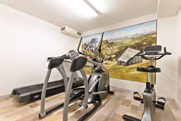 Foto della zona fitness Pensione Camoscio