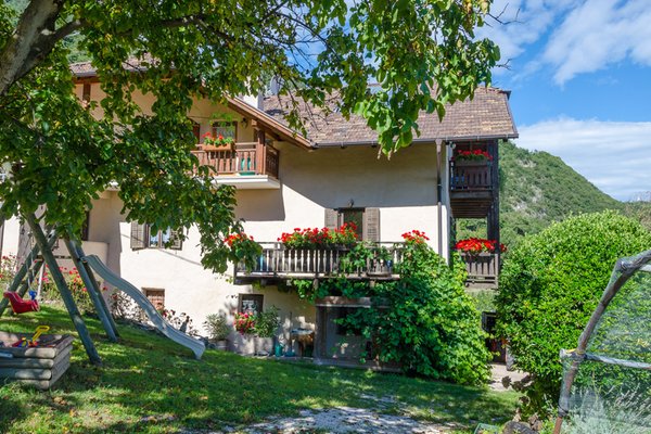 Foto del giardino Cortaccia sulla Strada del Vino