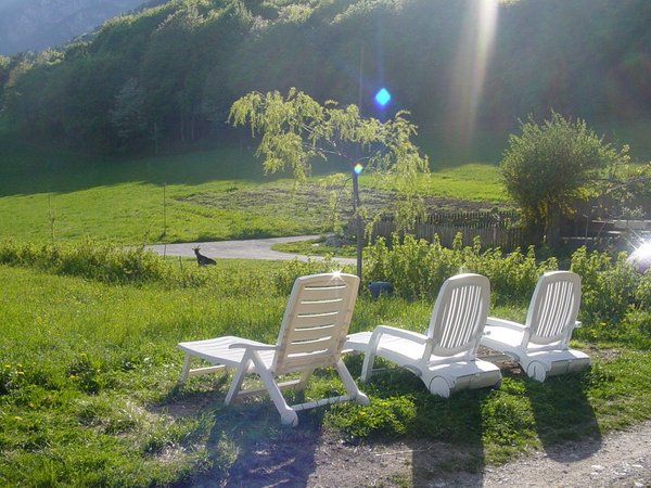 Foto del giardino Cortaccia sulla Strada del Vino