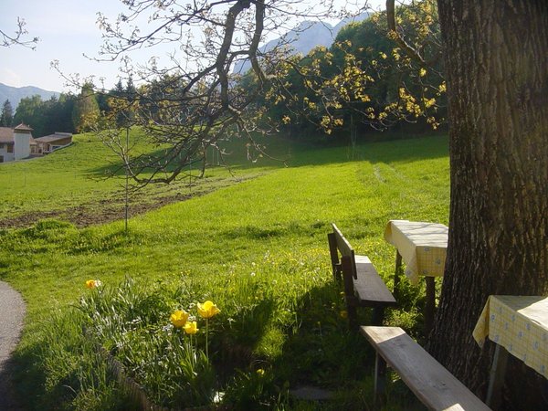 Foto del giardino Cortaccia sulla Strada del Vino