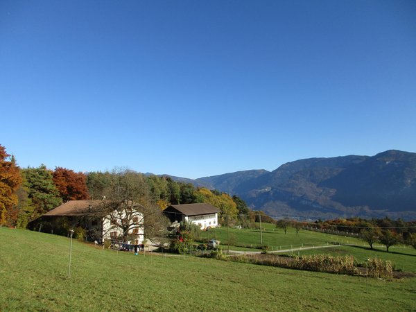 Foto esterno in estate Ungererhof