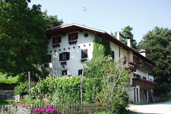 Foto esterno in estate Ungererhof