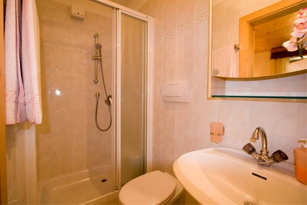 Foto del bagno Pensione in agriturismo Ungererhof