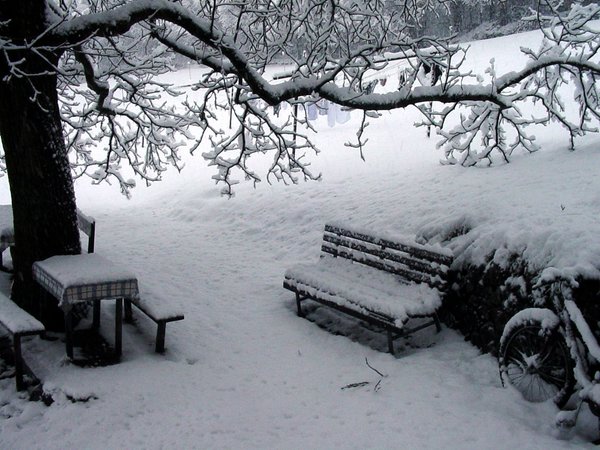 Gallery inverno