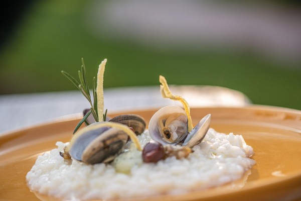 Ricette e proposte gourmet APIPURA hotel rinner