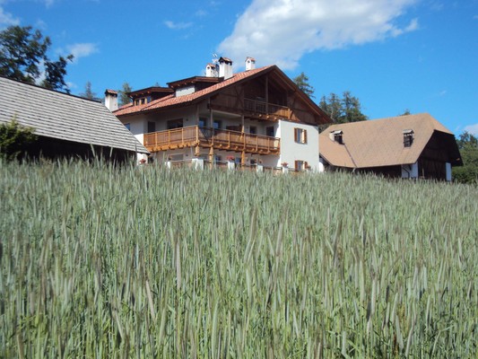 Foto esterno Appartamenti in agriturismo Trotnerhof