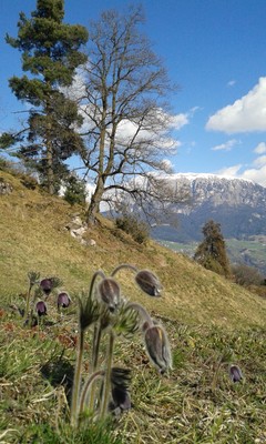 Photo gallery