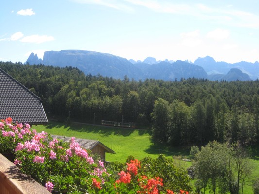 Photo of the balcony Untertrotnerhof