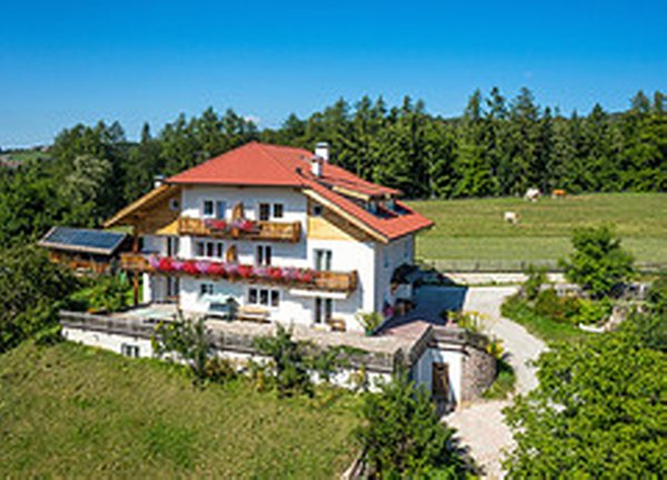 Summer presentation photo Farmhouse apartments Untertrotnerhof