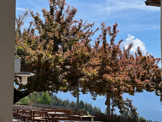 Il ristorante Monte di Mezzo (Renon) Bad Siess