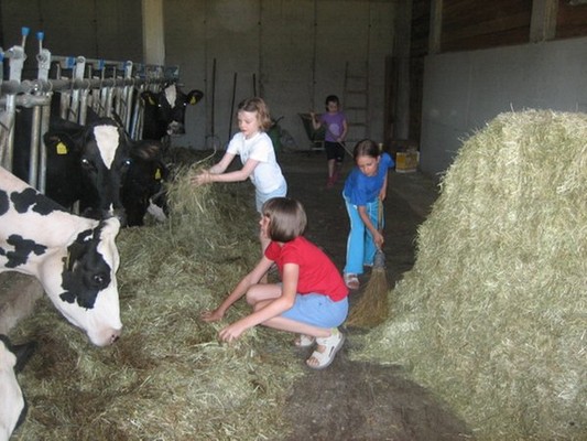 Ferienwohnungen auf dem Bauernhof Lärchhof Ritten