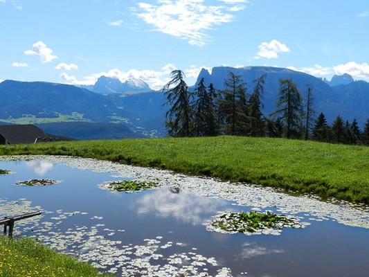 Aussicht Klobenstein (Ritten)