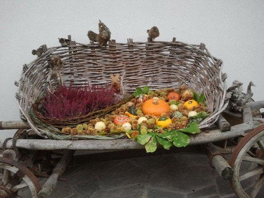 Foto di alcuni dettagli Moosbachhof