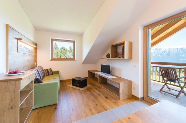 The living area Farmhouse apartments Unterpfaffstall