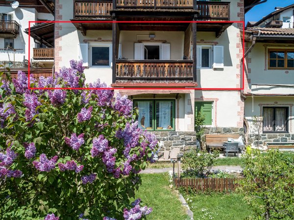 Foto esterno in estate Villa Erna