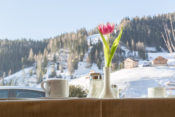 Foto di alcuni dettagli Jasmin