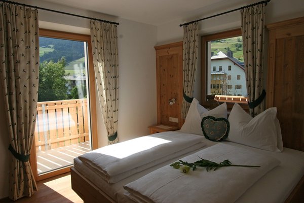 Photo of the room Apartments Stelia