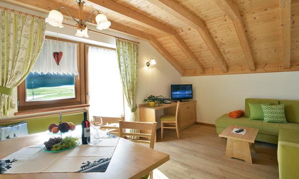 The living area Farmhouse apartments Roderhof