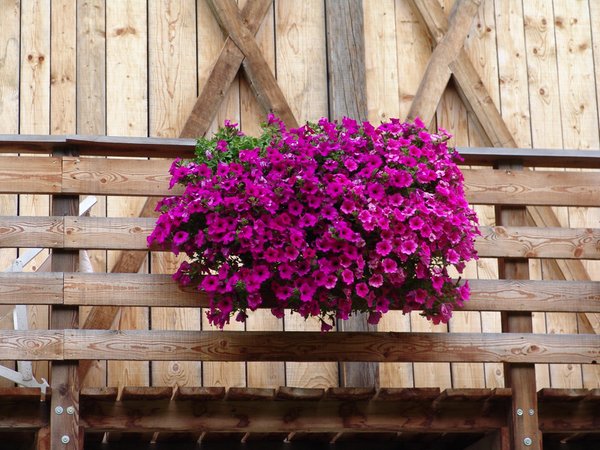 Photo of the balcony Roderhof