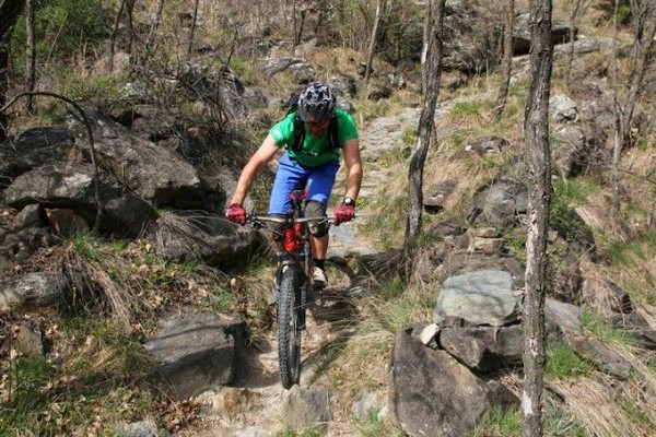 Activities Bolzano / Bozen and surroundings