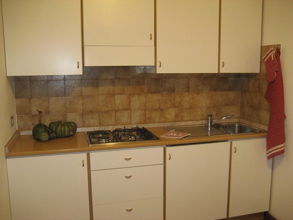 Photo of the kitchen Freina