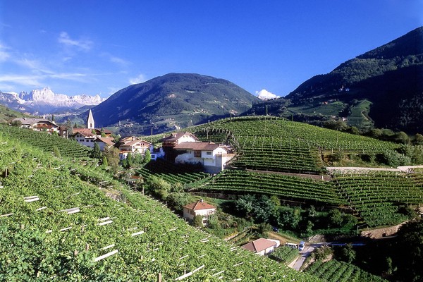 Foto esterno Appartamenti in agriturismo Weingut Eberlehof