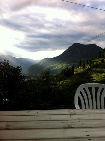 Foto vom Garten Bozen