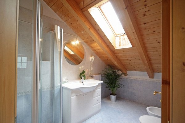 Foto del bagno Dolomites Apartments Ciasa Vally