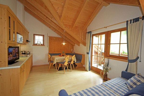 La zona giorno Dolomites Apartments Ciasa Vally
