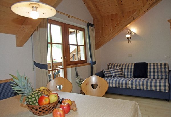 The living area Dolomites Apartments Ciasa Vally