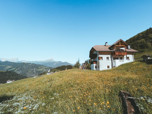 Foto esterno in estate Appartements Fedares