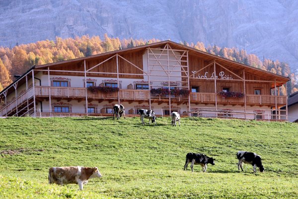 Sommer Präsentationsbild Garni + Ferienwohnungen Lüch da Pcëi