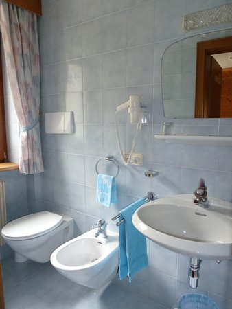 Photo of the bathroom Bed & Breakfast Ciasa Gadera