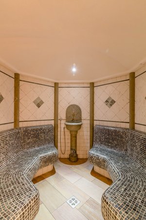Photo of the sauna Caprile