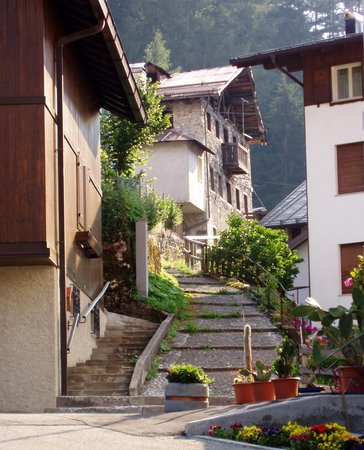 Photo exteriors in summer Zoldana