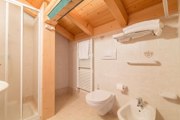 Foto del bagno Garni-Hotel La Stua