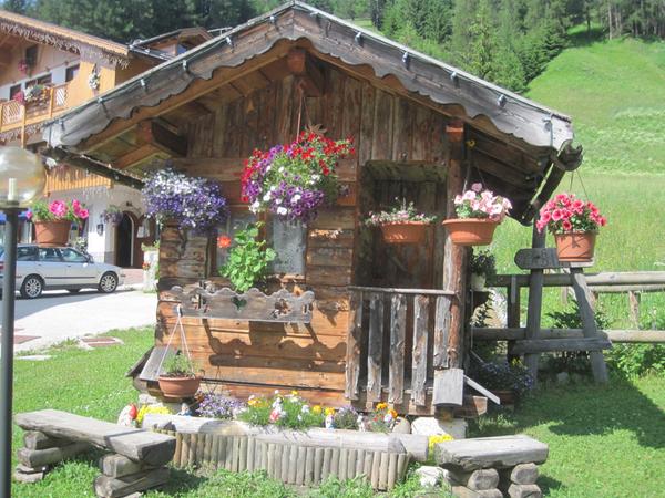 Foto del giardino Selva di Cadore - Pescul