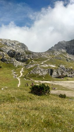 Photo gallery summer