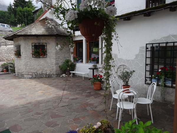 Photo of the garden Val di Zoldo - Coi