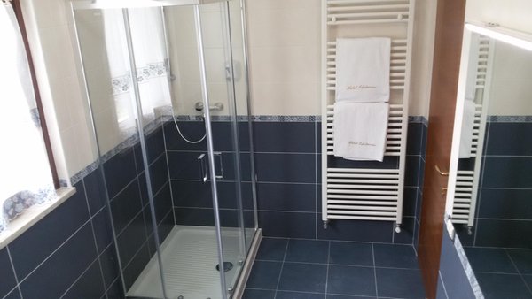 Foto del bagno Hotel Edelweiss