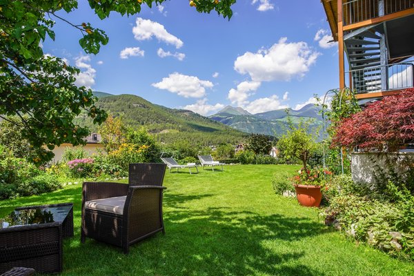 Foto del giardino Sciaves