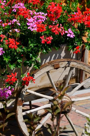 Foto del giardino Badia - Pedraces