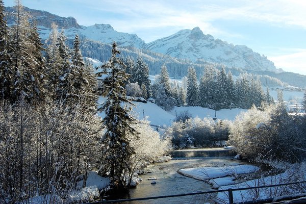 Photo gallery winter