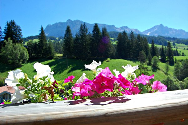 Photo of some details Chalet Alla Cascata