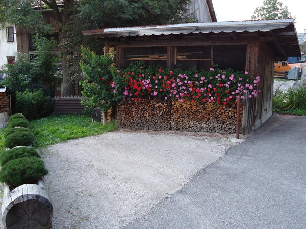 Foto del giardino Cortina d'Ampezzo