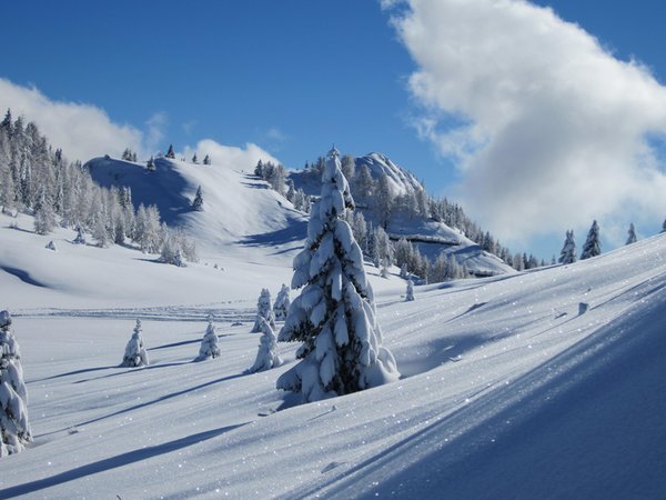 Photo gallery Val di Zoldo - Pecol winter