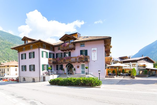 Foto Außenansicht im Sommer Alphotel Dolomiti